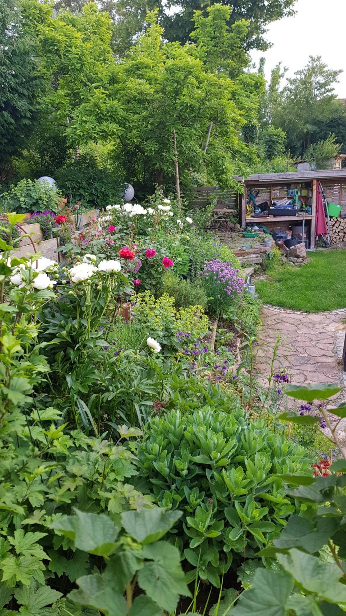 Wohnung Mit Sauna, Garten & Schwimmteich Bietigheim-Bissingen Exteriér fotografie