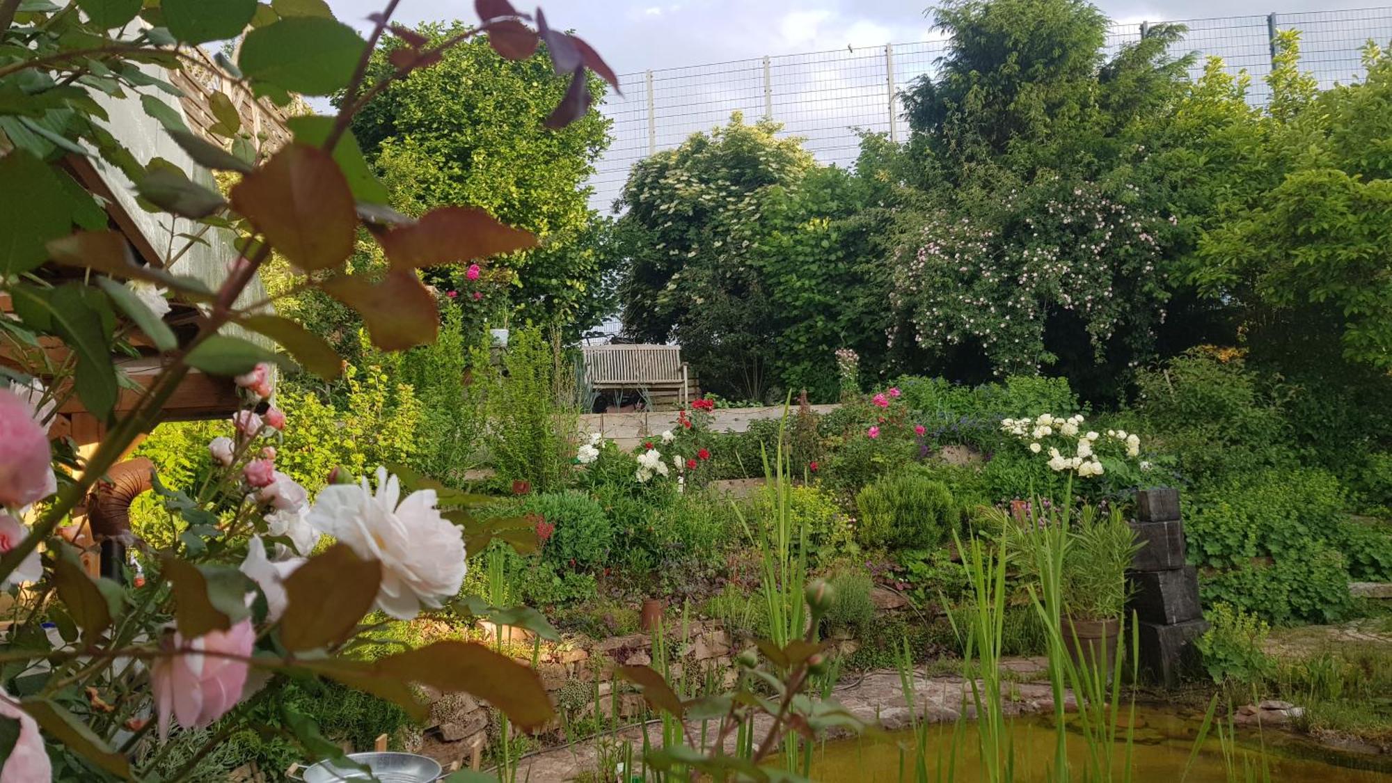 Wohnung Mit Sauna, Garten & Schwimmteich Bietigheim-Bissingen Exteriér fotografie