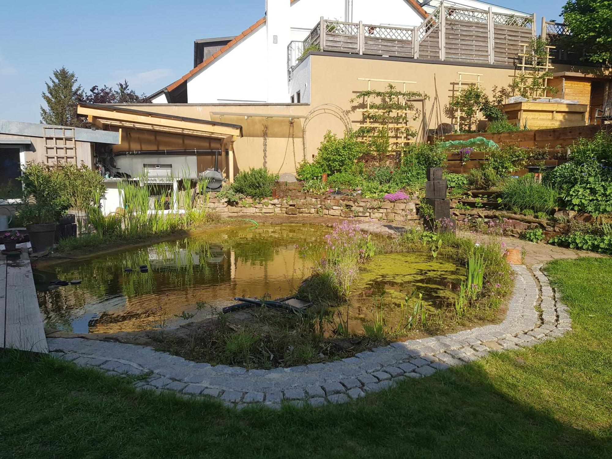 Wohnung Mit Sauna, Garten & Schwimmteich Bietigheim-Bissingen Exteriér fotografie