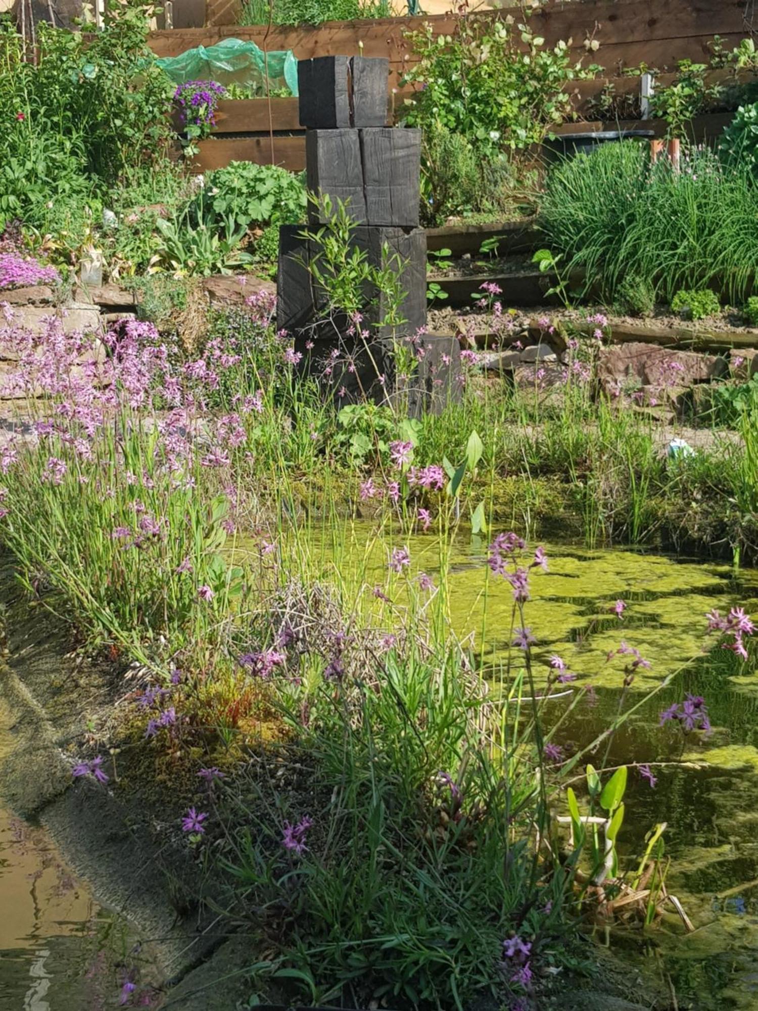 Wohnung Mit Sauna, Garten & Schwimmteich Bietigheim-Bissingen Exteriér fotografie