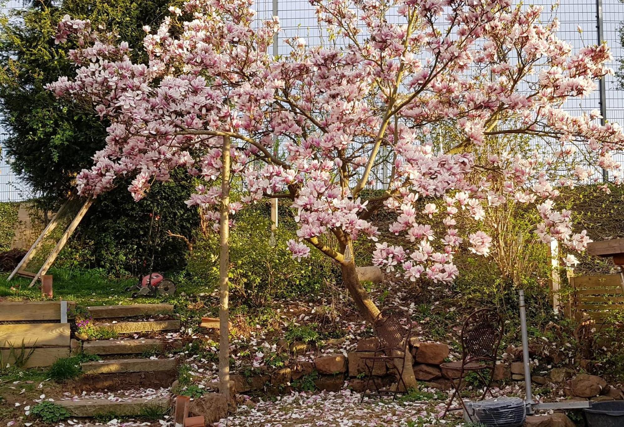 Wohnung Mit Sauna, Garten & Schwimmteich Bietigheim-Bissingen Exteriér fotografie